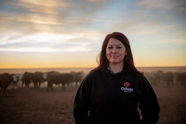 Cobalt Cattle brand